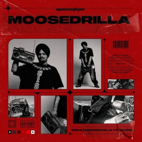 Moosedrilla Sidhu Moose Wala, Divine