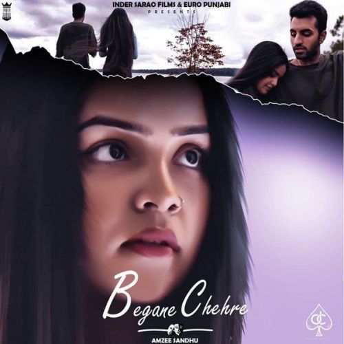 Amzee Sandhu picture