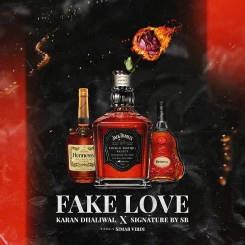 Fake Love Karan Dhaliwal