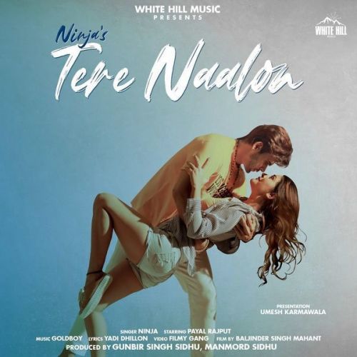 Tere Naalon Ninja