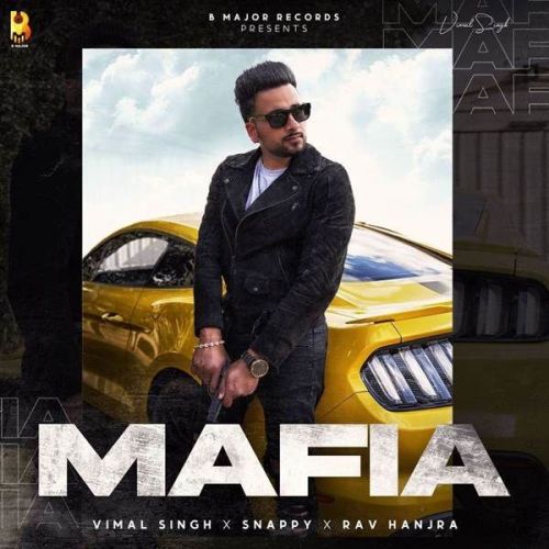 Mafia Vimal Singh