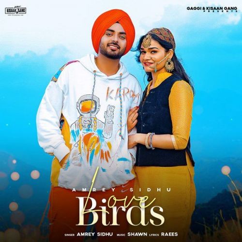 Love Birds Amrey Sidhu