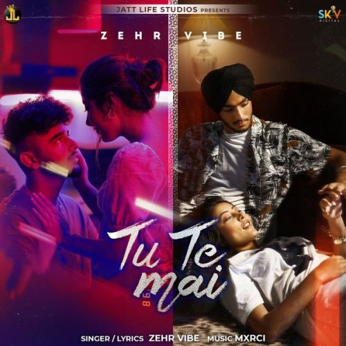 Tu Te Mai Zehr Vibe