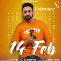 14 Feb Pavvy Virk