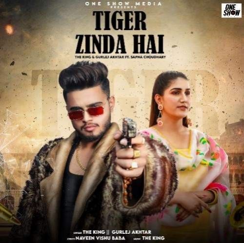 Tiger Zinda Hai The King, Gurlej Akhtar