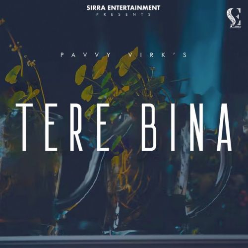 Tere Bina Pavvy Virk