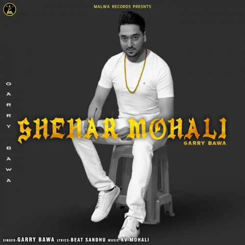 Shehar Mohali Garry Bawa