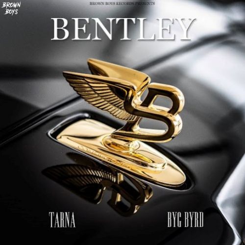 Bentley Tarna, Byg Byrd