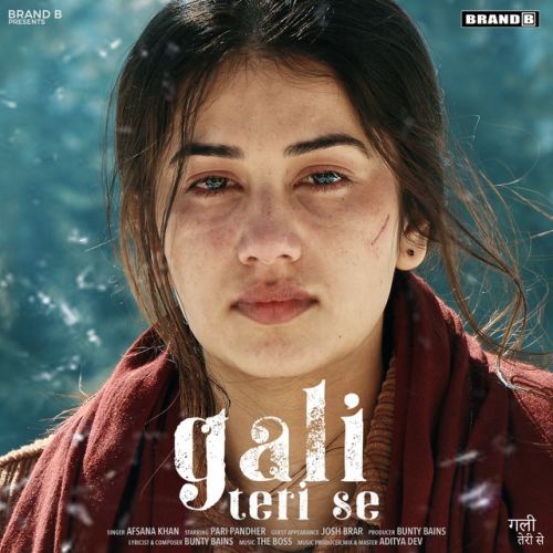 Gali Teri Se Afsana Khan