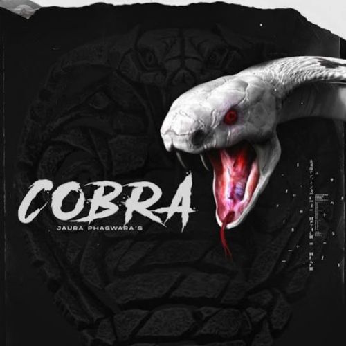 Cobra Jaura Phagwara
