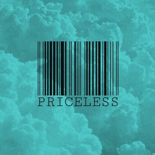 Priceless Shaan Akash