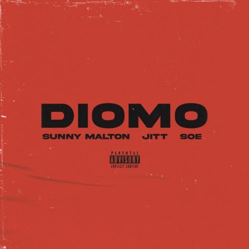 DIOMO Sunny Malton, Jitt