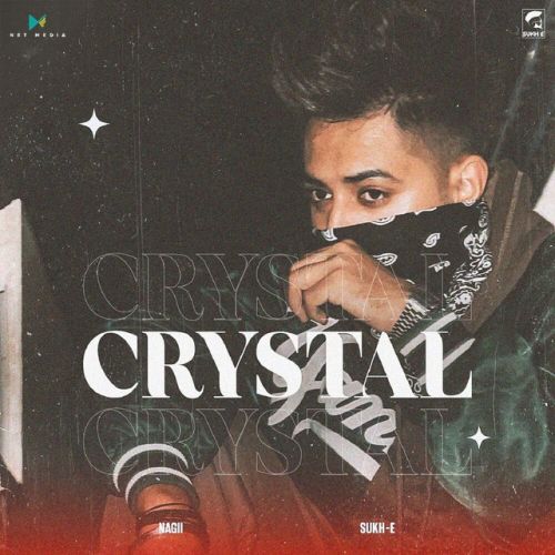Crystal Sukh E Muzical Doctorz, Nagii