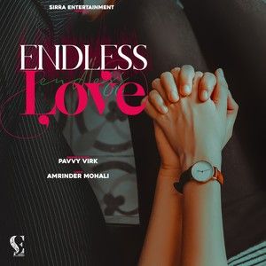Endless Love Pavvy Virk