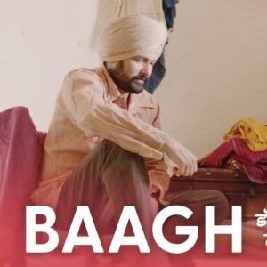 Baagh Amrinder Gill