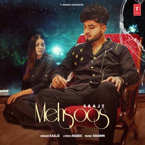 Mehsoos Saajz