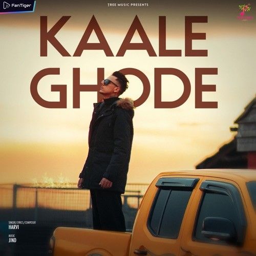 Kaale Ghode Harvi