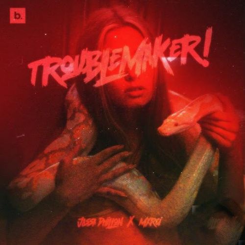 Trouble Maker Jassa Dhillon