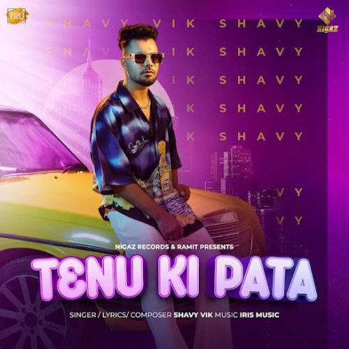 Tenu Ki Pata Shavy Vik
