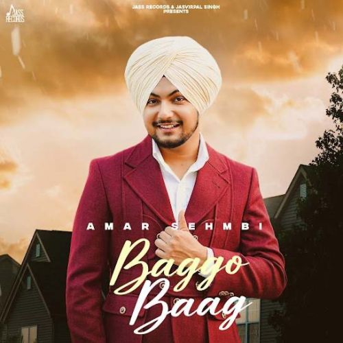 Baggo Baag Amar Sehmbi