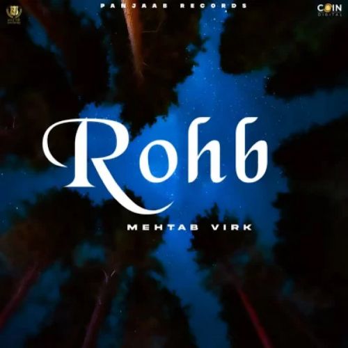 Rohb Mehtab Virk