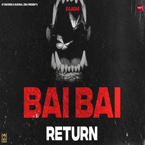 Bai Bai Return Baaghi