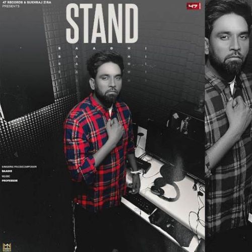 Stand Baaghi