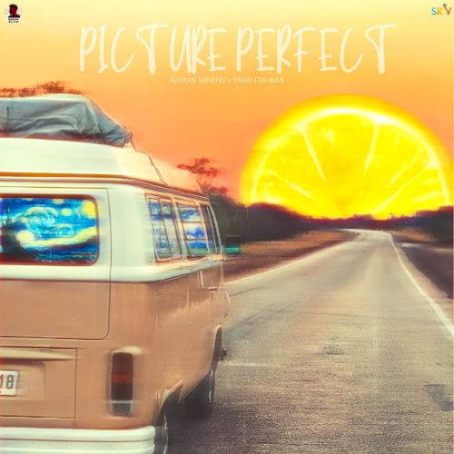 Picture Perfect Navaan Sandhu