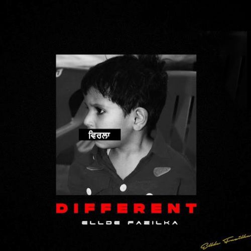 Intro Ellde Fazilka