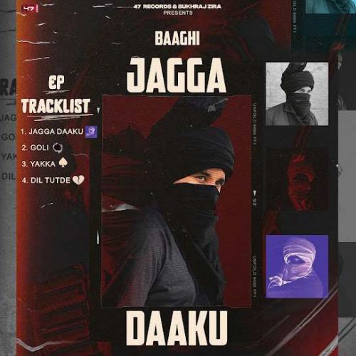 Yaka Baaghi