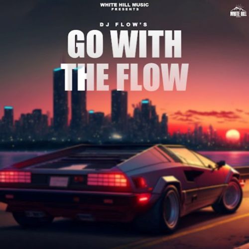 Vailpuna DJ Flow