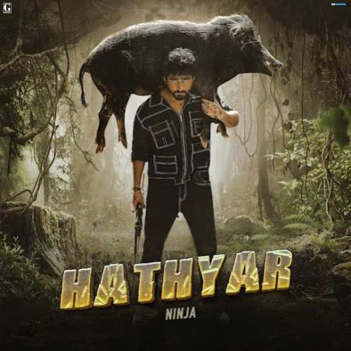 Hathyar Ninja