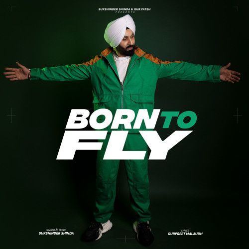 Born To Fly Sukshinder Shinda