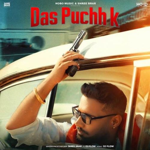 Das Puchh K Shree Brar