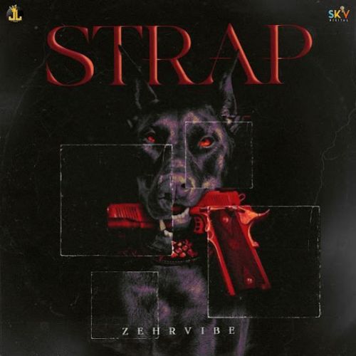 STRAP Zehr Vibe