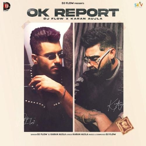 Ok Report DJ Flow