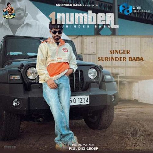 1 Number Surinder Baba