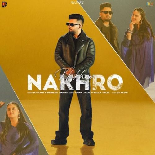 Nakhro DJ Flow