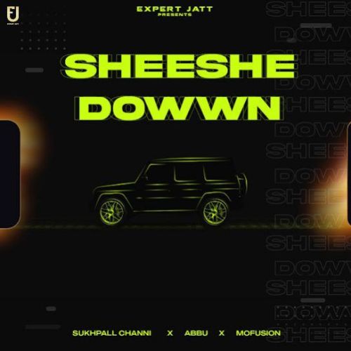 Sheeshe Dowwn Sukhpall Channi