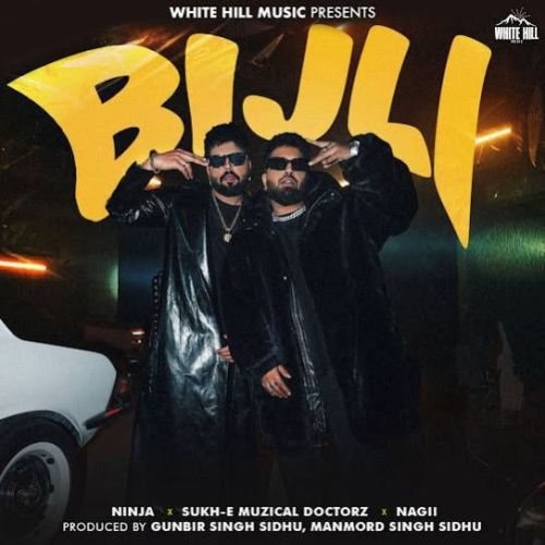 Bijli Ninja