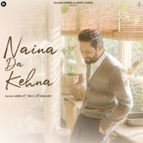 Naina Da Kehna Sajjan Adeeb