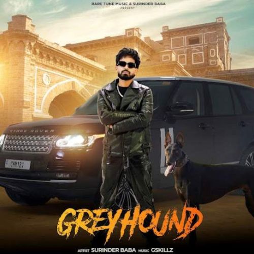Greyhound Surinder Baba