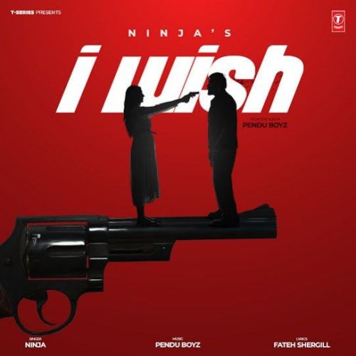 I Wish Ninja