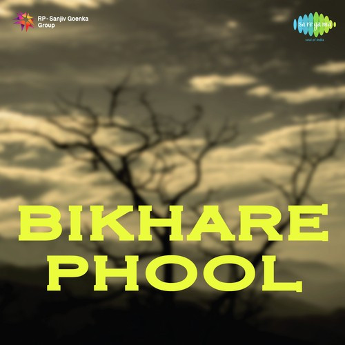 Bikhare Phool 