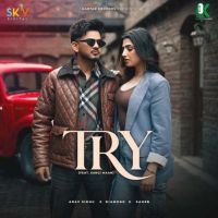 Try Arav Sidhu